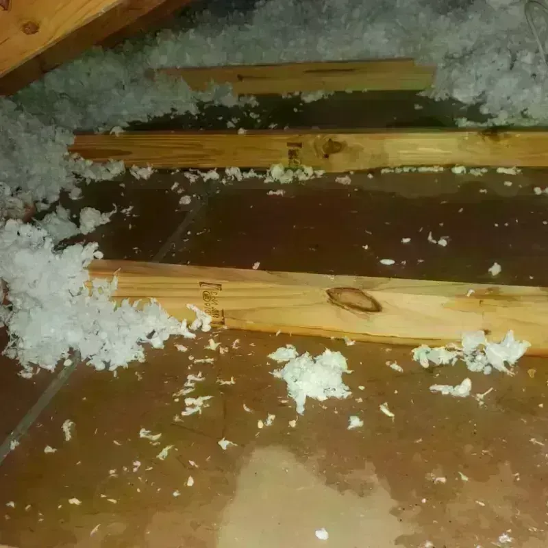 Attic Water Damage in Imperial Beach, CA