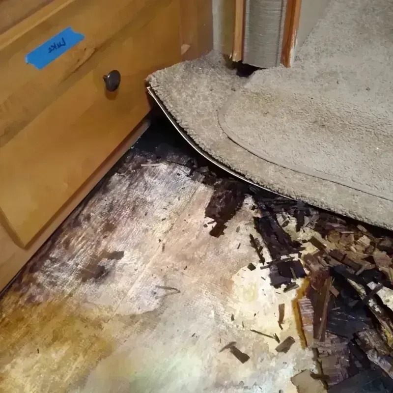 Best Wood Floor Water Damage Service in Imperial Beach, CA